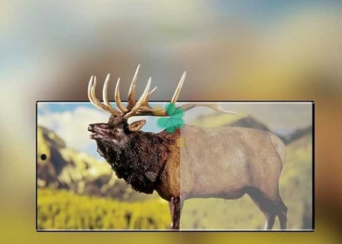 خرید و قیمت گلس فول چسب برند Kusa مخصوص سامسونگ - شفافیت بالای تصاویر