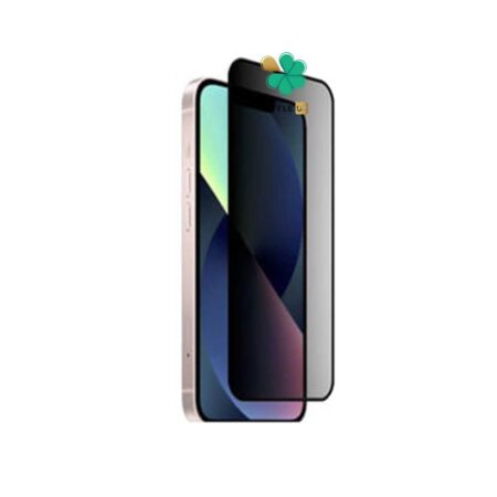خرید محافظ گلس پرایوسی گوشی اپل آیفون Apple iPhone 13 Mini