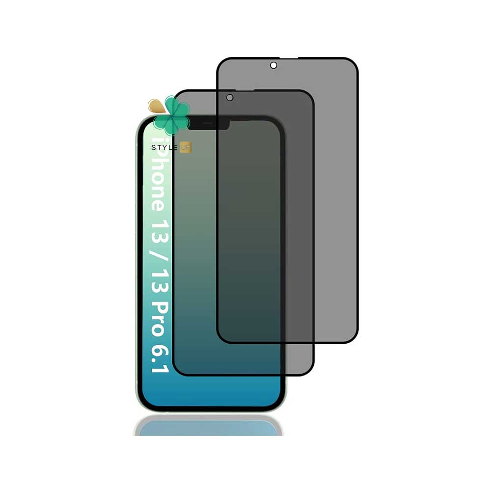 خرید پک دوتایی محافظ صفحه حریم شخصی بیسوس گوشی اپل iPhone 13 Pro