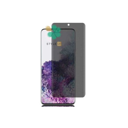 قیمت محافظ صفحه گوشی سامسونگ Samsung S20 Plus / 5G مدل Nano Privacy