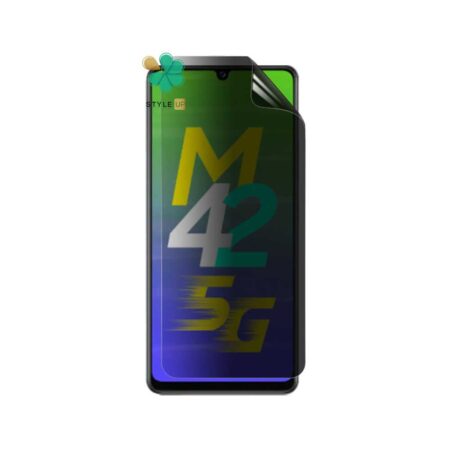 خرید محافظ صفحه گوشی سامسونگ Galaxy M42 5G مدل Nano Privacy