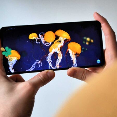قیمت گلس محافظ گوشی سامسونگ Samsung Galaxy M23 مدل تمام صفحه