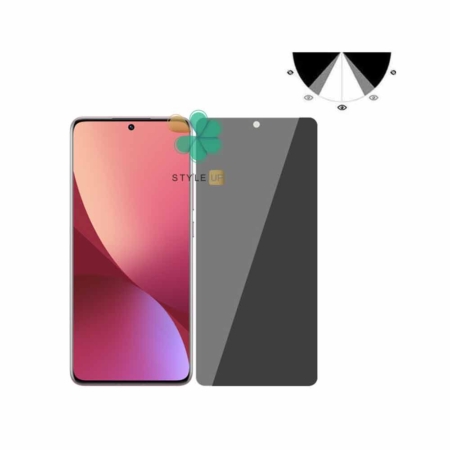 قیمت محافظ صفحه گوشی شیائومی Xiaomi 12 مدل Nano Privacy